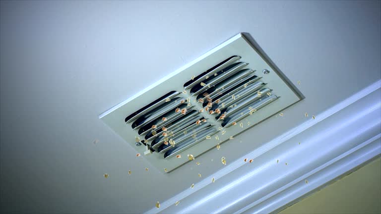 Best Air Duct Cleaning Near Me  in Braddock Hills, PA