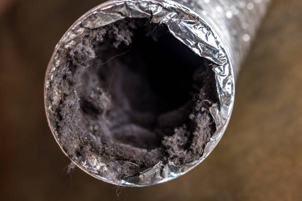 Best Local Air Duct Cleaning Services  in Braddock Hills, PA